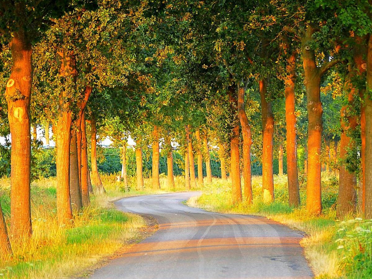 Boerderij Zonneveld Villa Rossum  Buitenkant foto